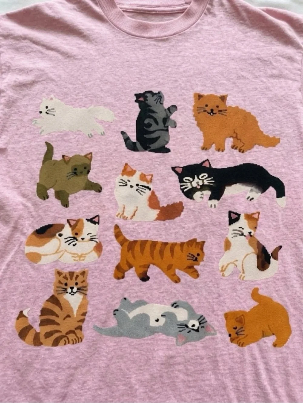 Pink Cat Crewneck Tee with Multicolor Kitten Print